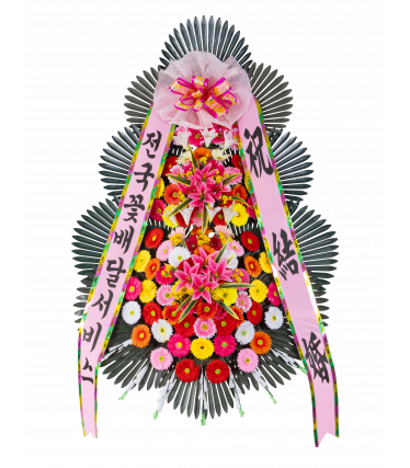 3단 일반형(광역시)